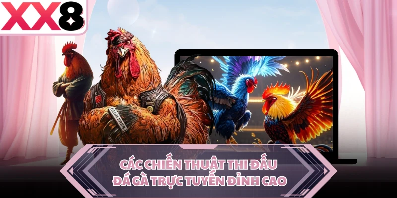 Các chiến thuật thi đấu đá gà trực tuyến đỉnh cao