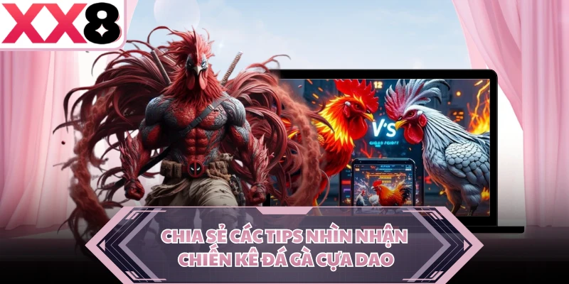 Chia sẻ các tips nhìn nhận chiến kê đá gà cựa dao